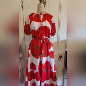 Polagram Red and White Tomato Maxi Dress Size Medium